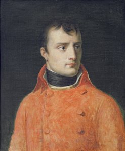 Napoléon Bonaparte, Premier Consul